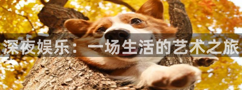 豪门国际俱乐部