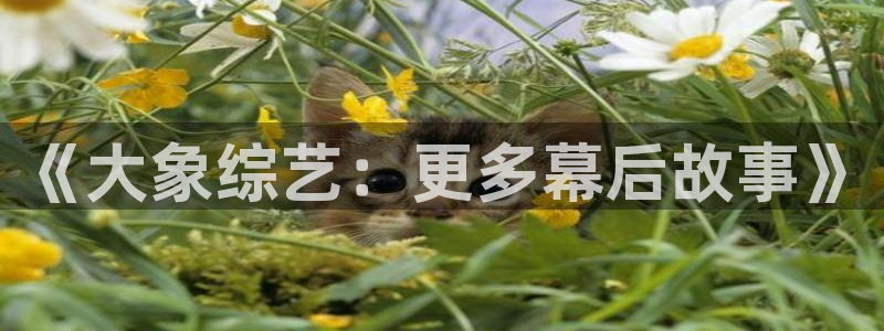 豪门国际下载