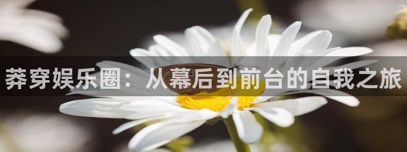 豪门国际是什么平台