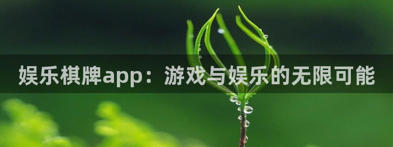 豪门国际所有网站