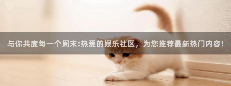 豪门国际所有网站