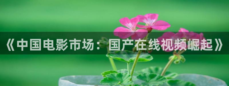 豪门国际86687